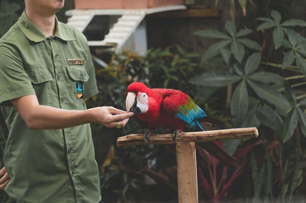 Feeding the Finicky Parrot