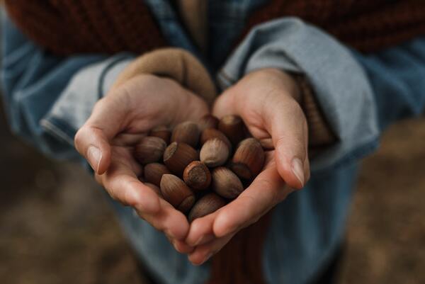 Hazelnut Health Benefits: Hazelnuts for Weight Loss, Diabetes and