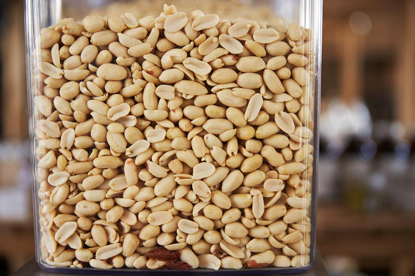 shelled peanuts in container